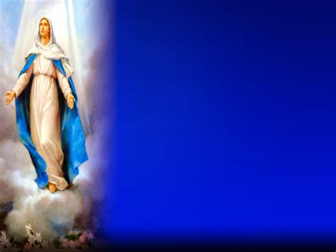 Holy Mass Images Blessed Virgin Mary Assumption