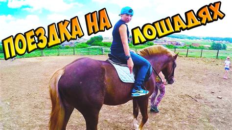Поездка на лошадях - YouTube