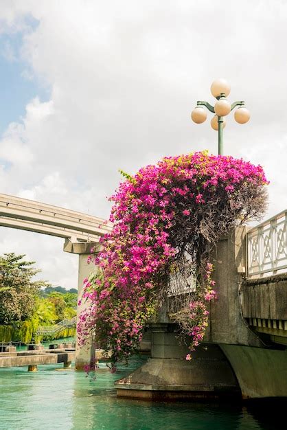 Una Hermosa Vista De La Isla De Sentosa En Singapur Foto Premium