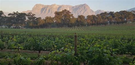 Private Stellenbosch Und Franschhoek Wein Tour Getyourguide