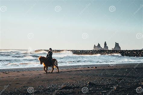 维克，冰岛，21岁 2019年12月 冰岛维克镇黑沙滩上一位骑马妇女 编辑类库存图片 图片 包括有 沙子 冰岛 168233669