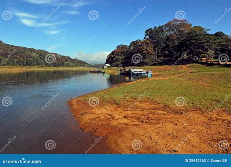 Periyar National Park editorial stock photo. Image of trees - 28442263