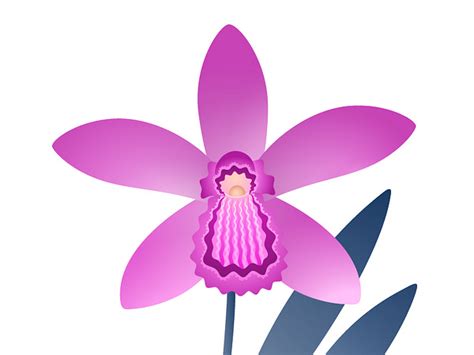 Orchid Logo designs, themes, templates and downloadable graphic ...