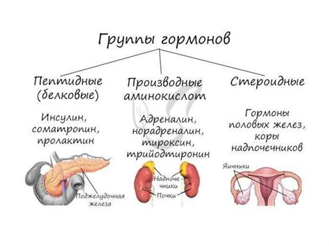 Эндокринная система - online presentation