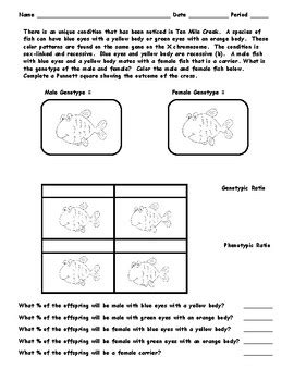 Sex Linked Traits By Mr Sarra S Biology And Nd Grade Math Activities