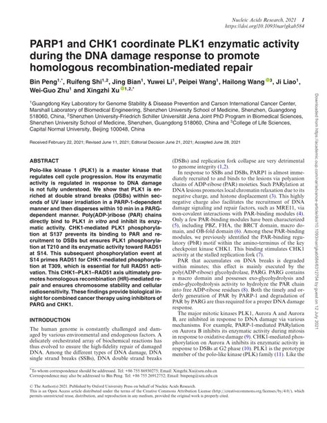 PDF PARP1 And CHK1 Coordinate PLK1 Enzymatic Activity During The DNA