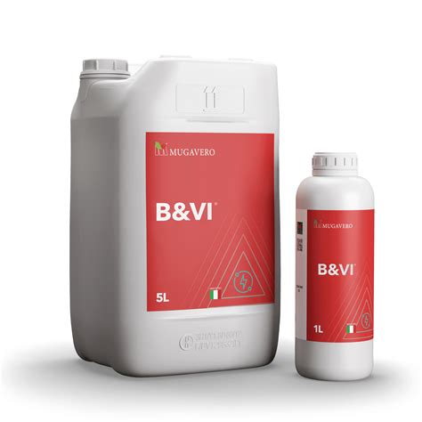 B&vi | Mugavero