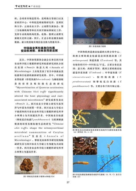 中国菌物医药杂志第五期北京千菌方菌物科学研究院