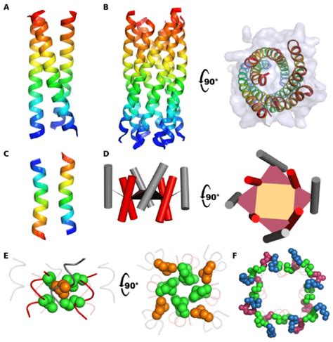 Crystal Structures Of De Novo Designed Peptides Backbone Ribbon