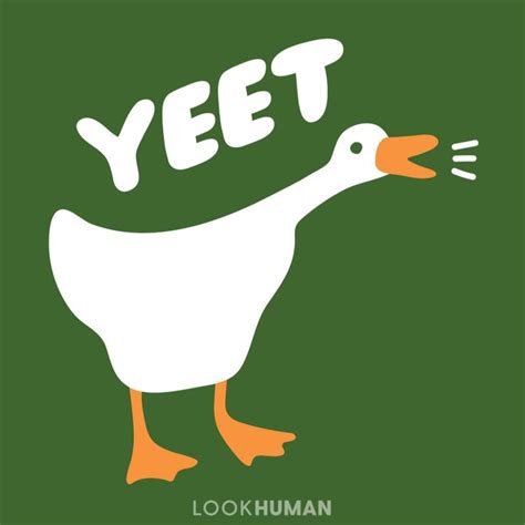 Yeet Goose Goose Drawing Goose Memes Cute Illustration