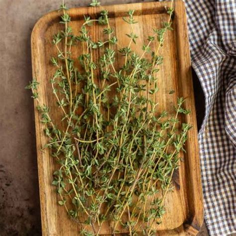 How To Dry Thyme Eating On A Dime