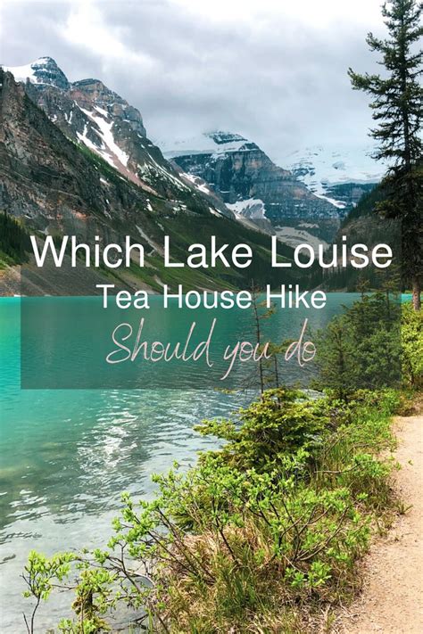 Which Lake Louise Tea House Hike Should You Do In 2024 National Park