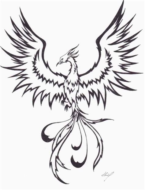 Outline Flying Phoenix Tattoo Design Phoenix Bird Art Phoenix Tattoo