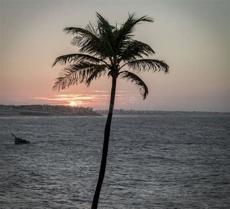 Afternoon at the beach stock image. Image of beach, tropical - 151984123