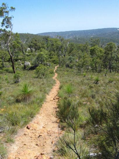 Free picture: bibbulmun, track, kalamunda