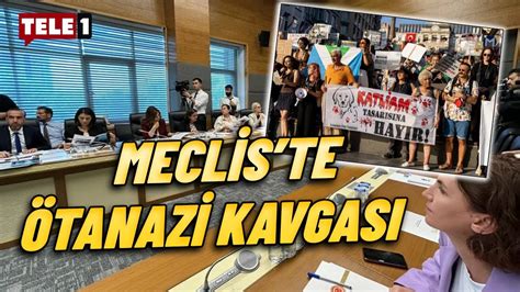 Hayvanları öldürme teklifinin ilk üç maddesi AKP MHP oylarıyla kabul