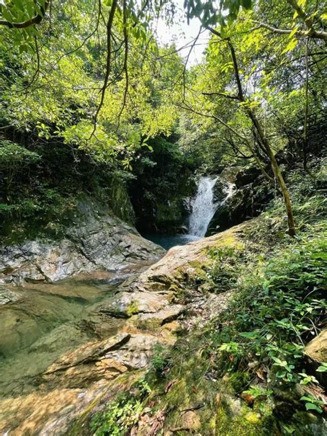 不出寧波避暑遛娃勝地，26℃露營玩水摸魚，這份攻略請注意查收 每日頭條