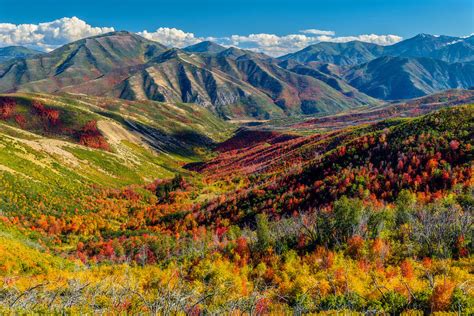 Explore The Light Photography Utah Photo