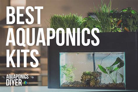 Top 5 Best Aquaponics Kits - Reviews & Guide 2024 - AquaponicsDIYer