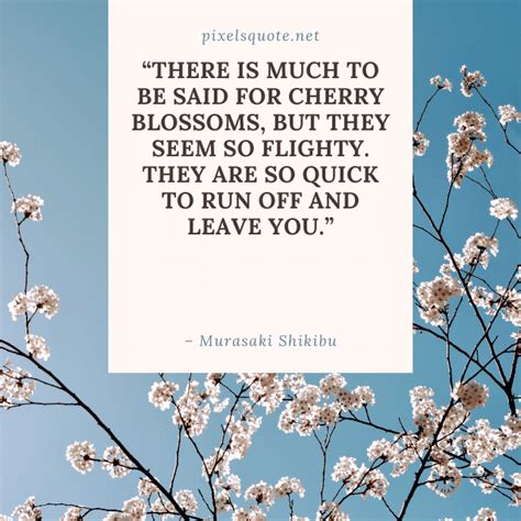 Cherry Blossom Quotes with Beautiful Images | PixelsQuote.Net