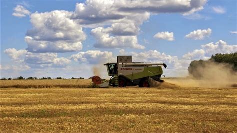 Il grano ucraino passerà dalla Croazia cosa dice il nuovo accordo