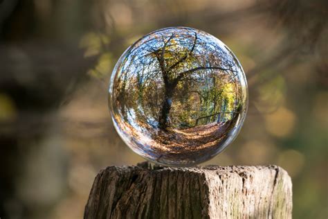 Fotos gratis árbol agua naturaleza bosque césped rock rama