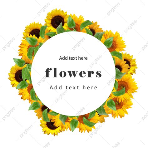 Sunflower Watercolor Vector Art Png New Watercolor Sunflower Frame