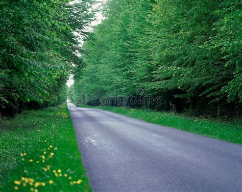 Natural Scenery stock photo. Image of grass, scenery, nature - 765582