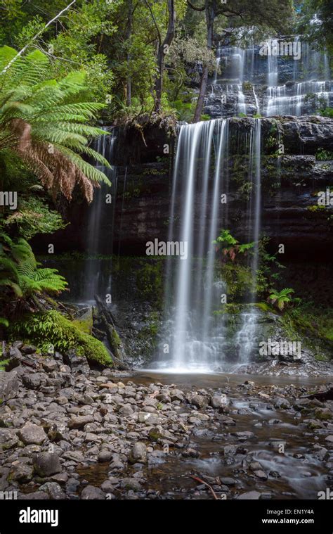 Russell Falls, Tasmania, Australia Stock Photo - Alamy