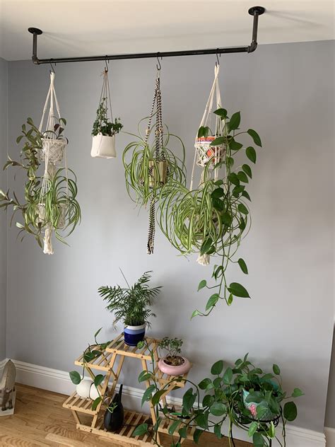 Indoor plants decor ideas window hanging plants ideas window decor with