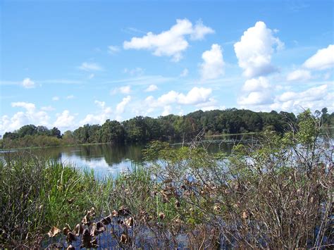 Eufaula National Wildlife Refuge – ooh, pretty