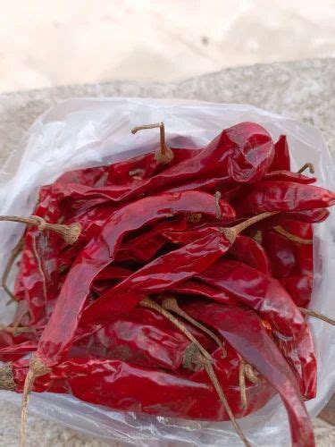 Wonder Hot Red Chilli Packaging Size To Kg At Kg In Jamnagar