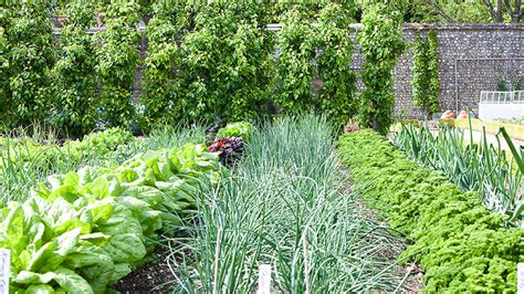 Walled Kitchen Garden At West Dean In Sussex