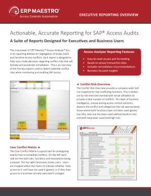 Fillable Online Executive Reporting Overview Fax Email Print Pdffiller