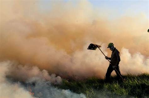 Pantanal E Leste De Ms Seguem Em Alerta Para Tempo Seco Nesta Segunda