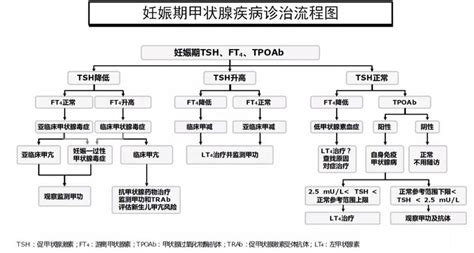 妊娠期甲亢、甲减如何管理？看专家解读最新指南 微医（挂号网）