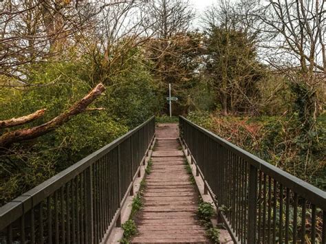 A Guide To The Beverley Brook Walk London She Walks In England