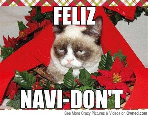 Grumpy Cat Christmas Memes – Comics And Memes