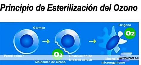 ¿conoces El Funcionamiento De Un Generador De Ozono Net Interlab