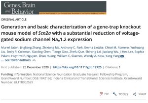 Scn A Loss Of Function Associated With Autism Behaviours