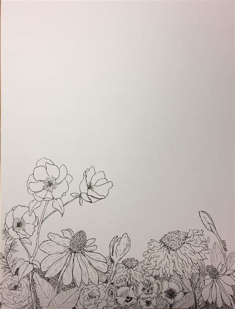 Botanical line drawing. | Botanical line drawing, Flower line drawings ...