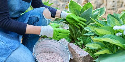 Astuces Pour Fertiliser Vos Plantes En Hiver Quel Engrais Et Comment