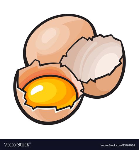 Whole And Cracked Broken Chicken Egg With Yolk Vector Image