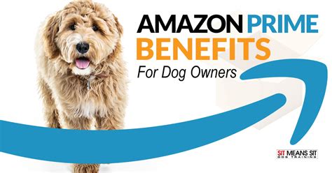 Amazon Prime Benefits for Dog Owners | Sit Means Sit Dog Training