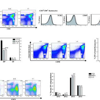 Sly Targeted Dn Thymocytes Exhibit Impaired Proliferation And