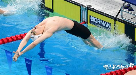 단독 남자배영 200m 결승행 이주호 메달 비현실적 후회 없이 해보겠다 나무뉴스