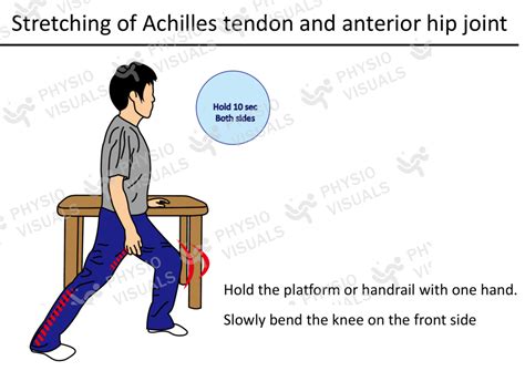 Stretching Of Achilles Tendon And Anterior Hip Joint Physio Visuals