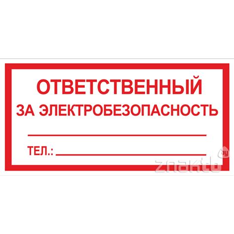 248 Знак ответственный за электробезопасность (1613) купить в Минске, цена