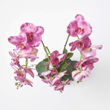 HOMESCAPES Künstliche pinke Phalaenopsis Orchidee im schwarzen Keramik