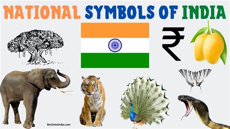 17 National Symbols Of India With Names List Importance 48 Off